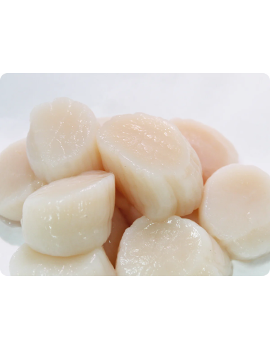 SEA SCALLOPS U10  PACK 3 LBS PANAMEI8 UNITES